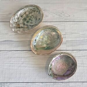 Vintage abalone shells iridescent colored set of 3